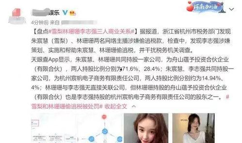 网红大事件的字,揭秘网络红人的崛起与争议