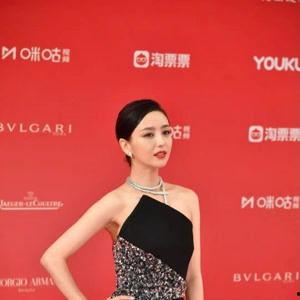 佟丽娅的资料,璀璨星途，优雅绽放的东方女神