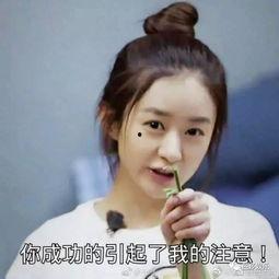 赵丽颖发的表情包,萌态可掬引网友热议