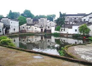 农村太八卦了,揭秘乡村生活那些事儿