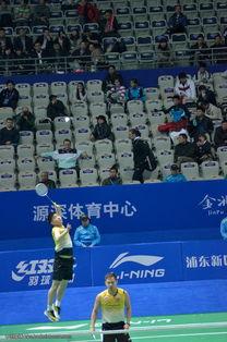 李宁照片大全,运动健将的辉煌瞬间回顾