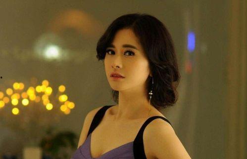 香港有那些明星,香港明星风采掠影