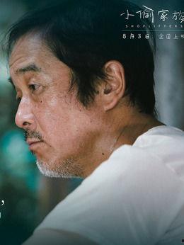 小偷家族演员,揭秘演员阵容背后的感人故事